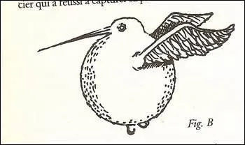 Par quel oiseau cette balle tait autrefois remplace pour jouer au Quidditch ?