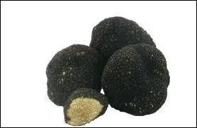 Quelle est cette truffe,  la chair 'blanc-crme', appele aussi 'truffe blanche d't' ?
