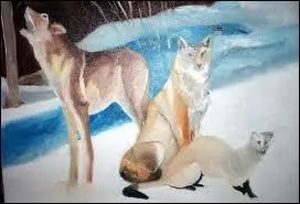 Quel groupe chantait 'Le loup, le renard et la belette' ?