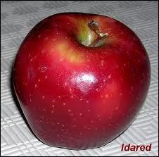 Quelle est cette variet de pommes ?