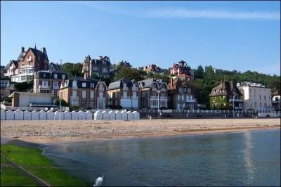 Quel type de manifestation a lieu tous les ans  Cannes ou Deauville ?