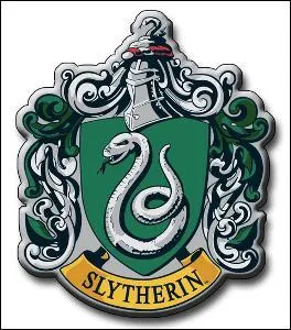 Lors du match Gryffondor-Serpentard, qui est le gardien de but des Serpentards ?