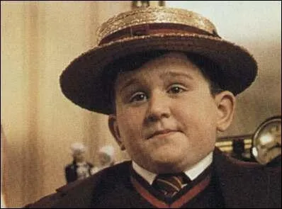 Comment s'appellent les quatre autres garons qui font partie de 'la bande de Dudley' ?