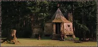 Hagrid envoie un hibou  Harry , et dit qu'il veut que Harry vienne  la cabane pour lui raconter sa premire semaine. A quel moment Hagrid lui propose t-il de venir ?