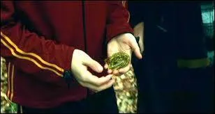 Tome 4 : (dans le livre) Qui amne la branchiflore  Harry ?