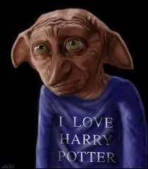 Tome 7 (partie 1) : O Dobby est-il enterr ?