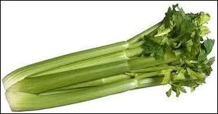 Quel est ce lgume ?