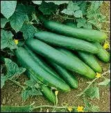 Les reconnaissez-vous ?