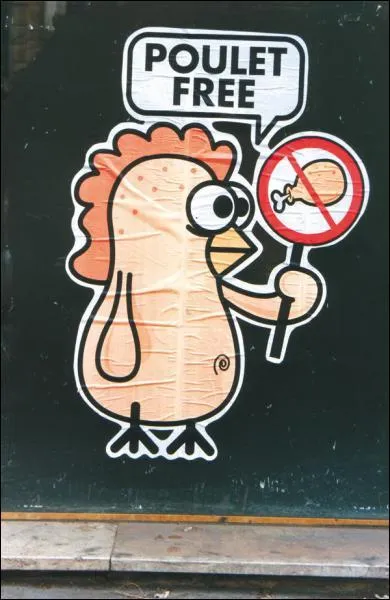 Qu'est-ce qu'un poulet ?