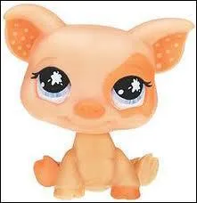 Quelle est la marque de ce jouet ?