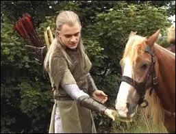 Quel est le nom du poney de Sam ?