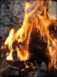 Que signifie l'expression ' Montrer de quel bois on se chauffe ' ?