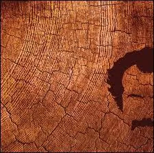 Qui a interprt la chanson 'Au bois de mon coeur' ?