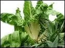 Quels sont ces lgumes ?