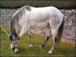 De quelle couleur est cette robe ?