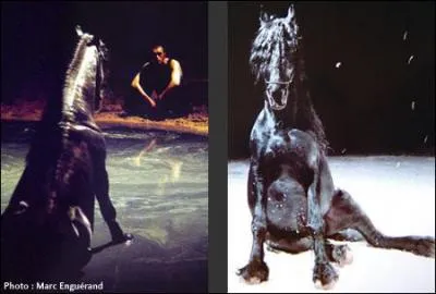 Comment s'appelait ce cheval ?