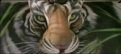 Que voit-on d' autre que le tigre ?