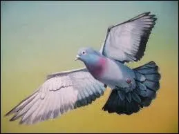 Son poids est entre :