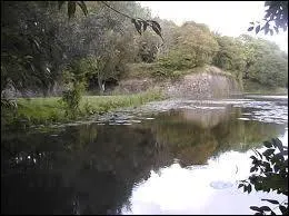 Pour Pierre Perrin, dans quelle ville 'tout a ne vaut-il pas un clair de lune' ?