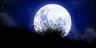 Il fait nuit à la même heure toute l'année.