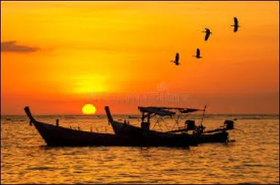''Je te donnerai tous les bateaux, tous les oiseaux, tous les SOLEILS... Toutes les roses, toutes les choses qui t´émerveillent... ''