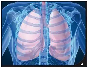 Je m'occupe des maladies du poumon et de l'appareil respiratoire, je suis...