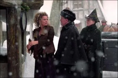 Troisime anne : en coutant aux portes des Trois Balais, que va dcouvrir Harry ?