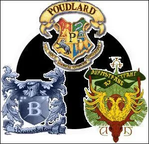 Quatrime anne : qui va remporter le tournoi ?