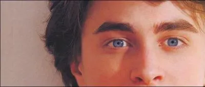 Premire anne : avec qui Harry va-t-il tout de suite sympathiser ?