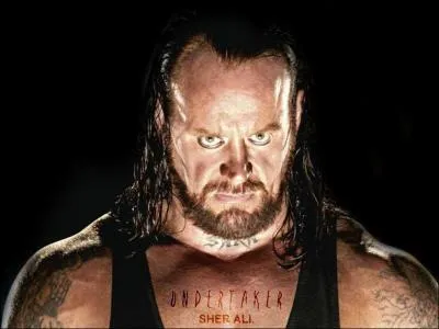 Qui a limin l'Undertaker du Royal Rumble 1992 ?