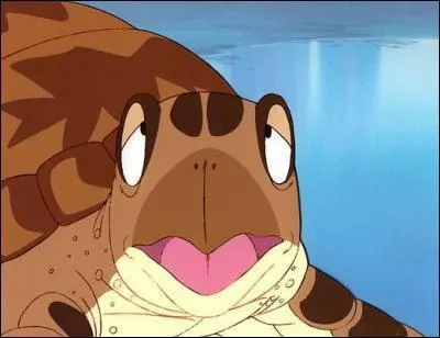 Quelle est la puissance de la tortue sur le detecteur de Bulma ?