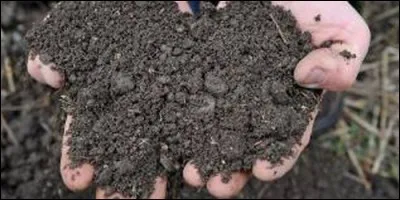 Un gramme de terre peut contenir un milliard de bactéries.