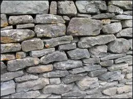 Romans d'Herv Bazin :