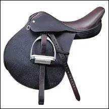 Les parties de la selle : laquelle n'existe pas ?