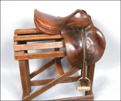 Pour faire briller ta selle tu utilises :