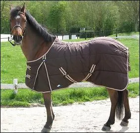 Peut-on mettre une couverture  un cheval ?