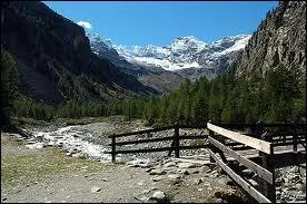 Pour protéger quel animal, le Parc National du Grand Paradis a-t-il été créé à l'origine ?