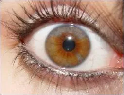 Les yeux marrons clairs sont souvent appels :