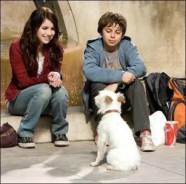 Quelle actrice, future hrone de 'Scream 4' et nice d'une trs grande star, tient le rle principal de 'Palace pour chiens' ?