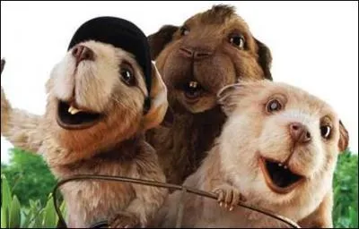 Quels animaux sont mis en scne dans 'Sacrs rongeurs' ?
