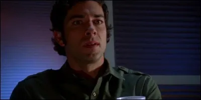 Zachary Levi incarne Charles Irving Bartowski dans :