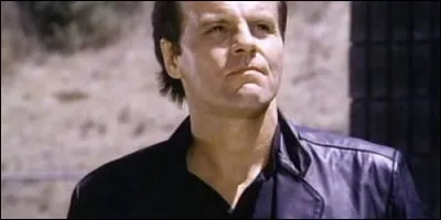 Michael Ironside est Ham Tyler dans :