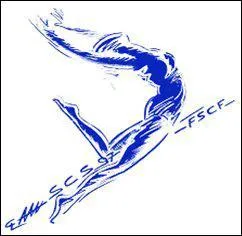 Quelle est la marque de gymnastique la plus clbre ?