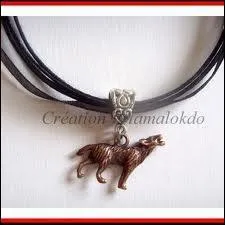 Ce porte-bonheur fait partie de quoi ?