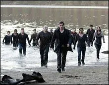 Qui a créé cette armée ?