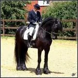 Pour s'arrter, il faut : (3 rponses correctes)