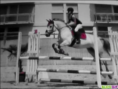 C. S. O veut dire : (1 seule rponse correcte)