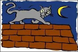 Selon un vieux proverbe que se passe-t-il la nuit ?