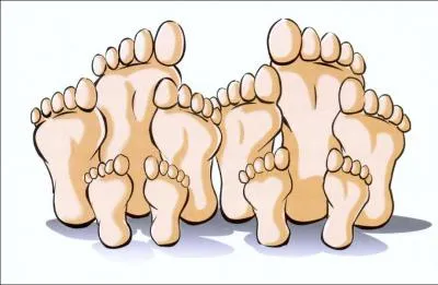 Combien a-t-elle de pieds ?