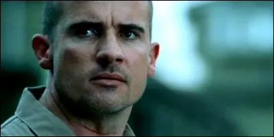 Qui joue le rôle de Lincoln Burrows dans "Prison Break" ?